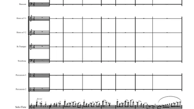 Opus -1: concert for flute and orchestra featured image